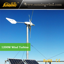 Wind Solar Hybrid Pumping System (MAX 1200W System)